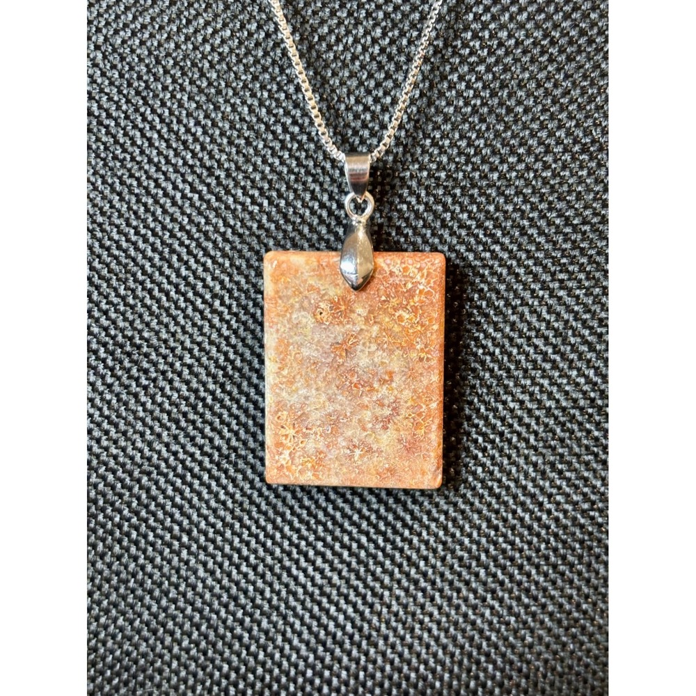 Fossilized Coral Pendant Necklace Stainless Steel Box Chain Orange Stone Slab